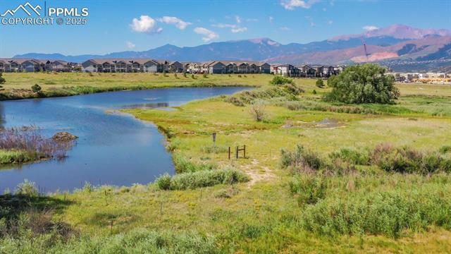 11644 Spectacular Bid Circle