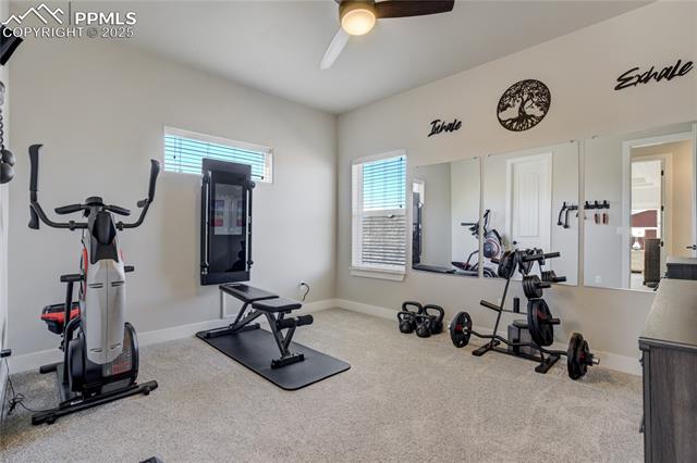 11644 Spectacular Bid Circle