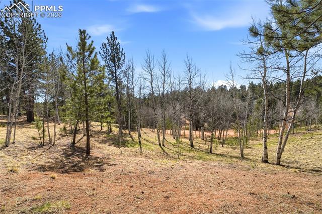 164 Aspen Circle