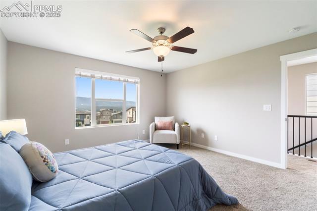 11157 Modern Meadow Loop