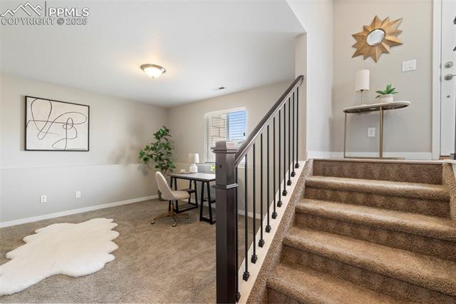 11157 Modern Meadow Loop