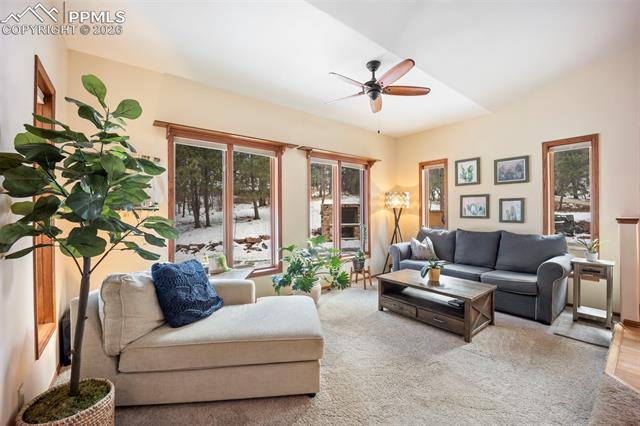 7405 Winding Oaks Drive