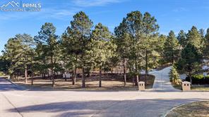 7405 Winding Oaks Drive