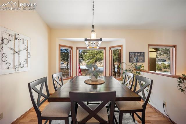 7405 Winding Oaks Drive