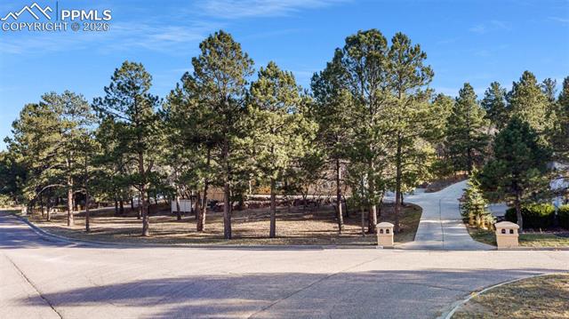 7405 Winding Oaks Drive