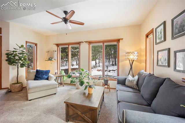 7405 Winding Oaks Drive