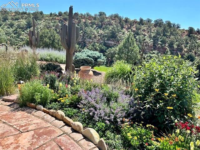 2575 White Rock Lane