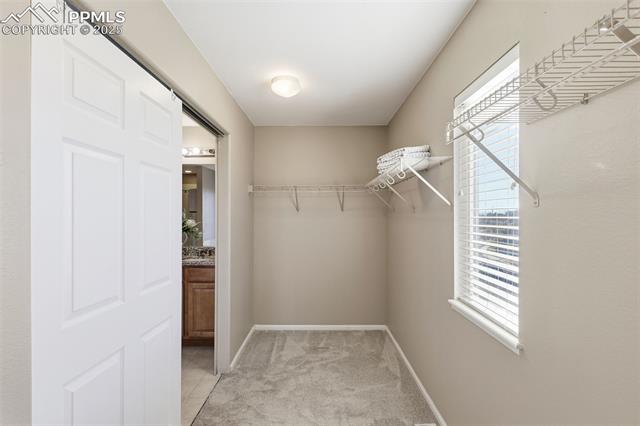 7703 Autumn Leaf Way