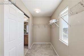 7703 Autumn Leaf Way