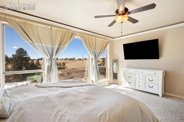 18885 Prairie Breeze Point