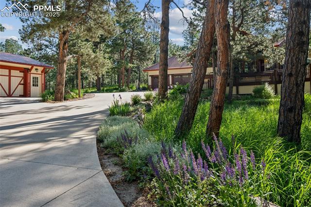 18585 Arrowwood Drive