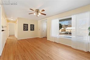 245 Davie Drive