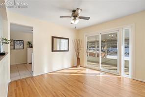 245 Davie Drive