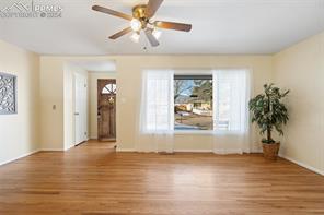 245 Davie Drive