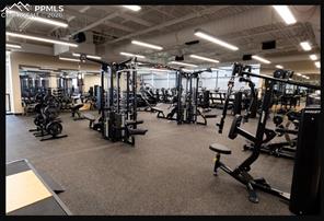 12432 Mount Bross Place