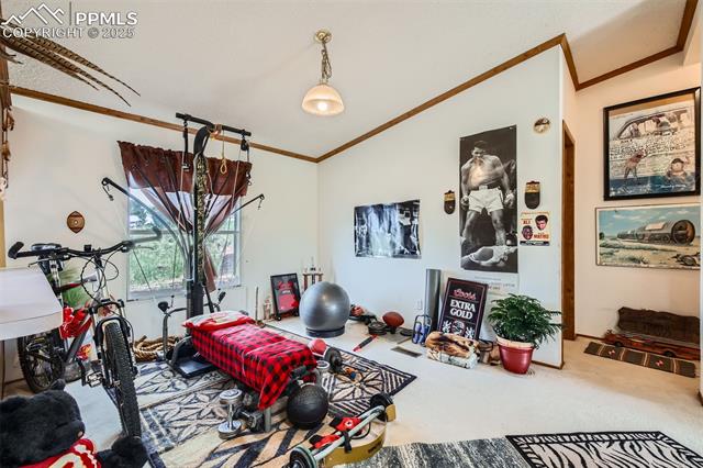477 Friar Tuck Drive