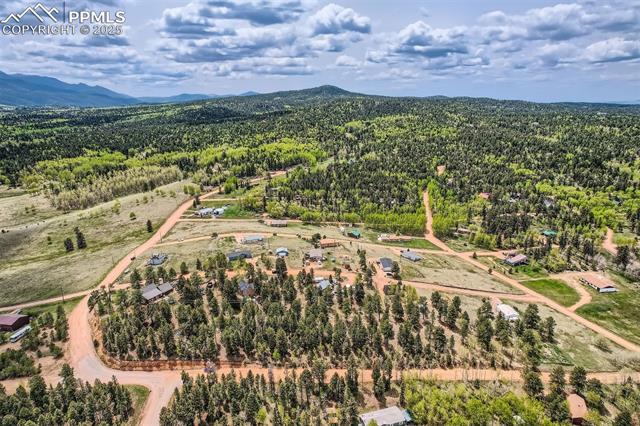 477 Friar Tuck Drive