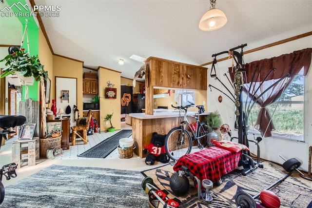 477 Friar Tuck Drive