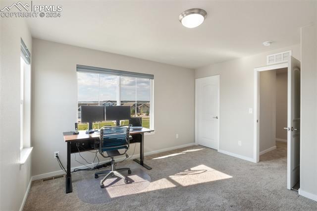 3311 Golden Meadow Way