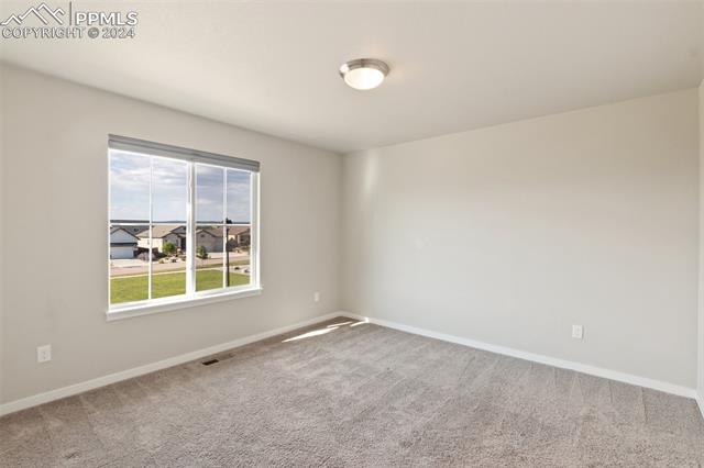 3311 Golden Meadow Way