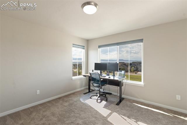 3311 Golden Meadow Way