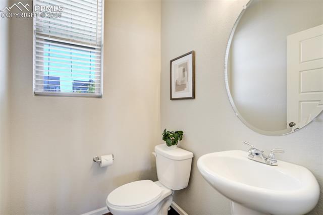 6689 Backcountry Loop