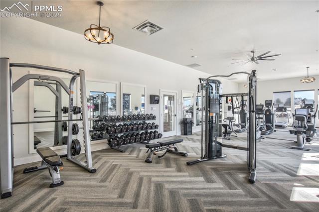 11598 Silver Charm Way