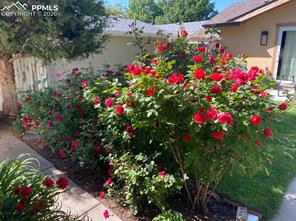 1714 W Boulder Street