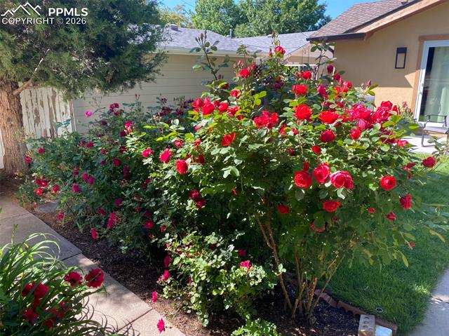 1714 W Boulder Street