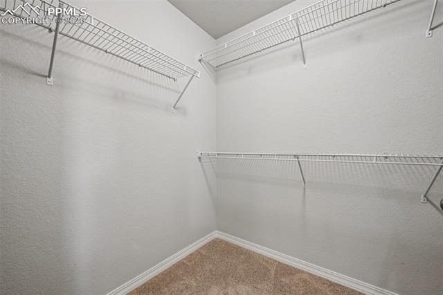 6796 Spruce Hill Court