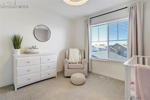 3882 Horse Gulch Loop