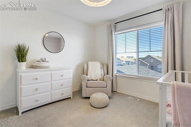 3882 Horse Gulch Loop