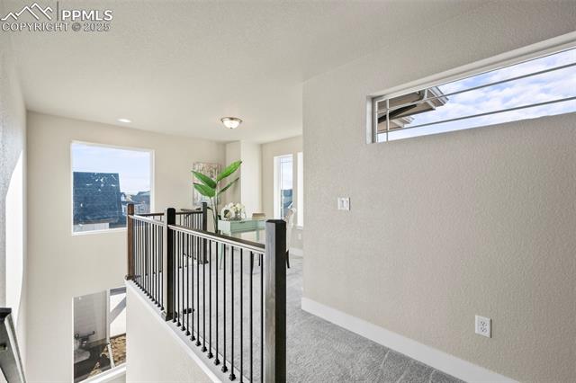 6429 Deco Drive