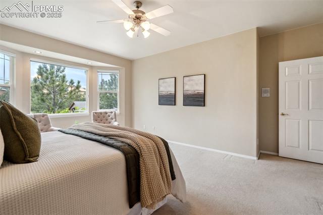 2175 Wake Forest Court