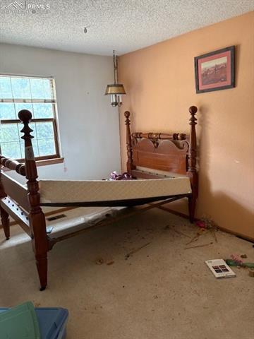 1065 Allegheny Drive