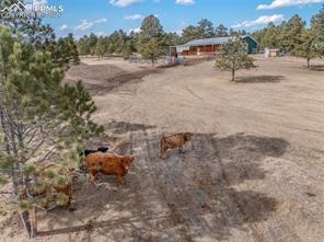 16530 Remington Road
