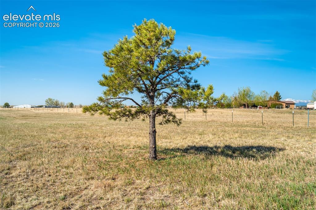 14730 Tiboria Loop