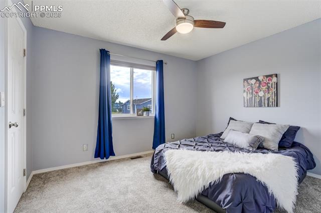 5337 Hawk Springs Drive