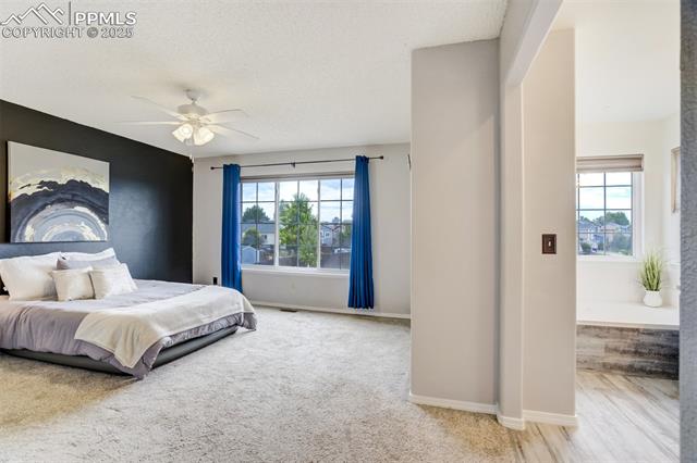 5337 Hawk Springs Drive