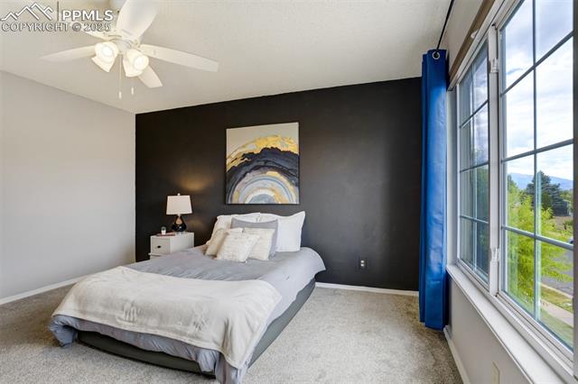 5337 Hawk Springs Drive