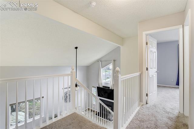 5337 Hawk Springs Drive