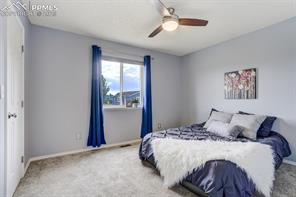 5337 Hawk Springs Drive