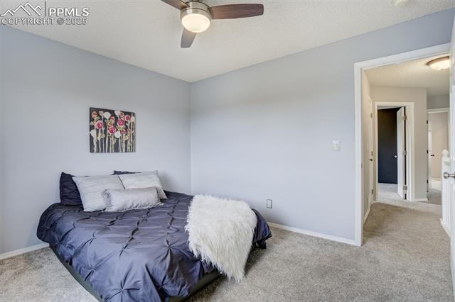 5337 Hawk Springs Drive