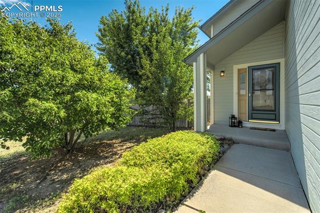 5337 Hawk Springs Drive