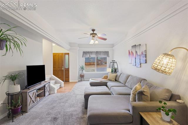 3727 Scott Lane