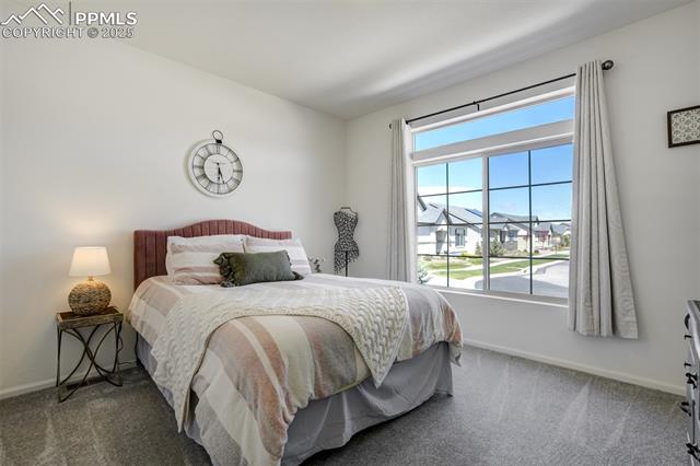 6646 Golden Briar Lane