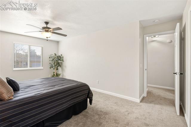 3160 Mirage Drive
