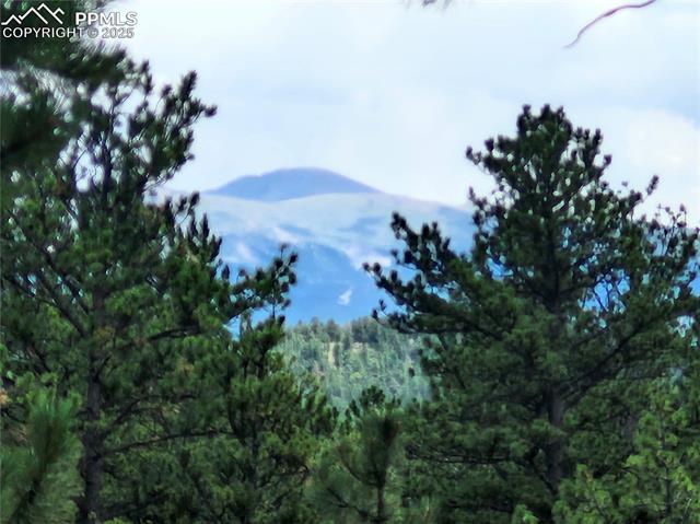 400 Pikes Peak Lane