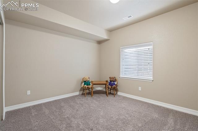 6849 Black Saddle Drive