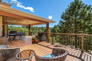 1163 Greenland Forest Drive